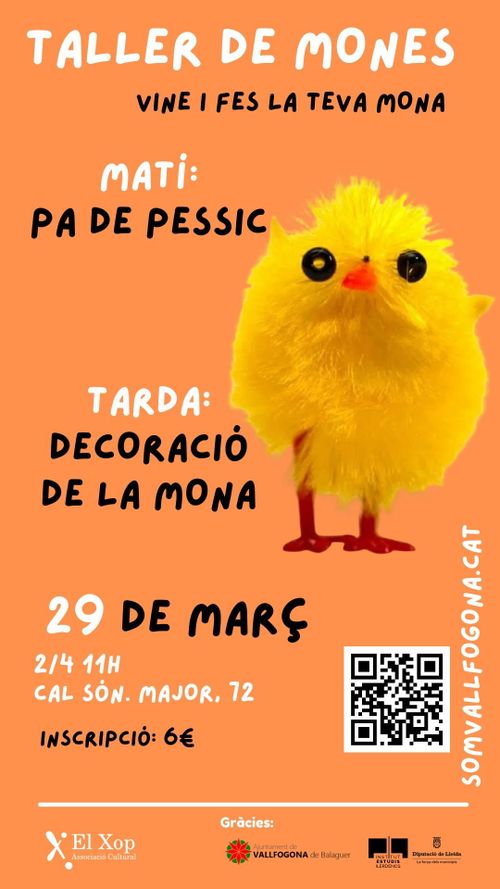 Taller de mones