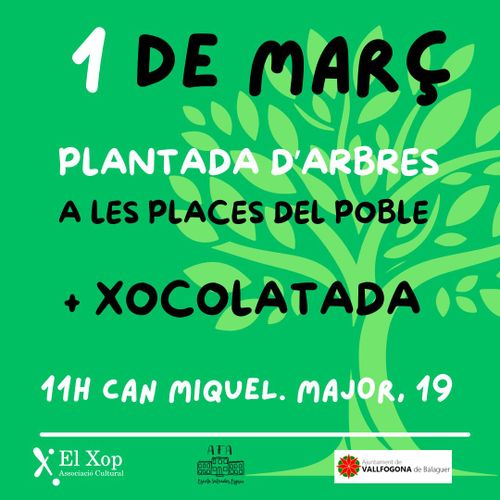 Plantada d'arbres a places i carrers